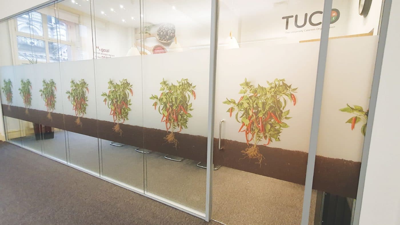 Printed Etch Graphics on Glazing at TUCO