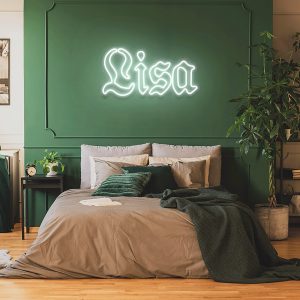 illuminated LED neon sign shown mocked up on wall with clear acrylic backing frame